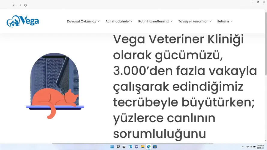 Vega Veteriner Kliniği web tasarımı